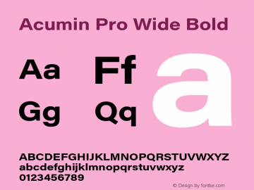acumin-wide preview 2
