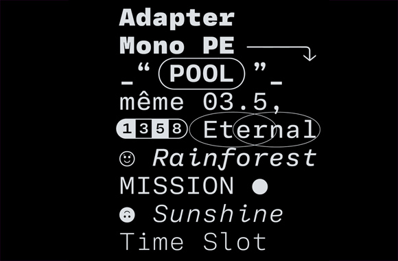 adapter-mono-pe-variable preview 3