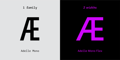 adelle-mono preview 4