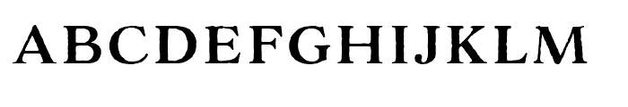 adorn-serif preview 3