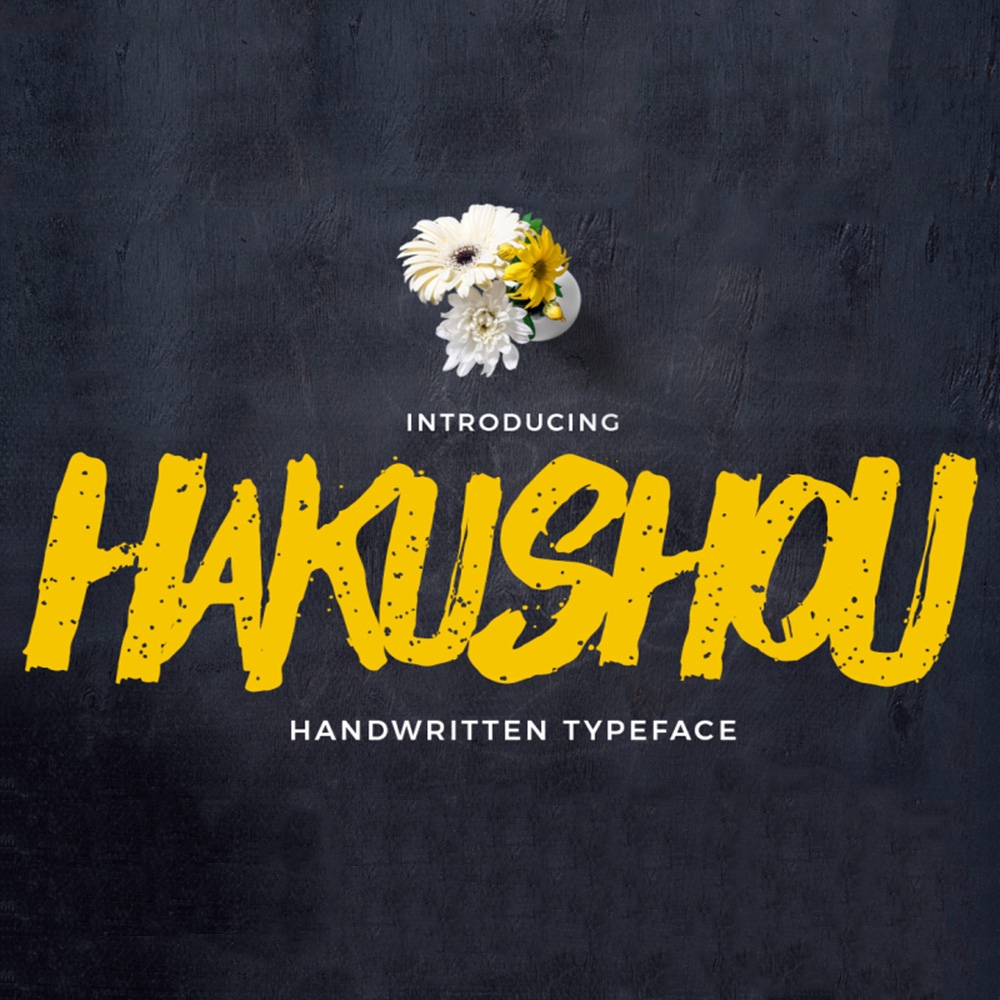 ah-hakushu-school-prs preview 4