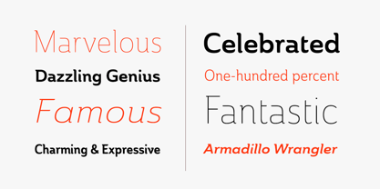ainslie-sans preview 3