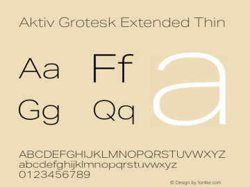 aktiv-grotesk-extended preview 4