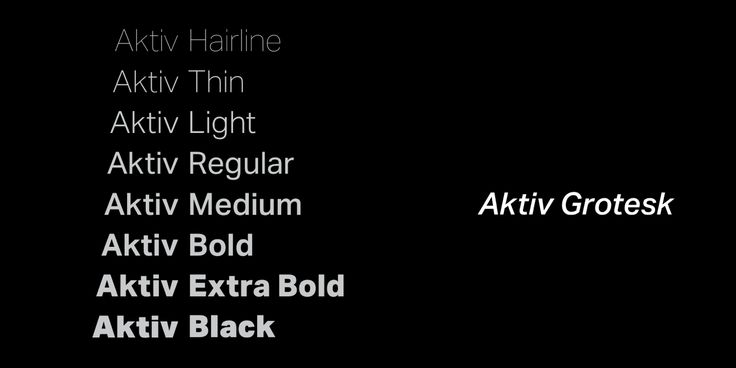 aktiv-grotesk preview 4