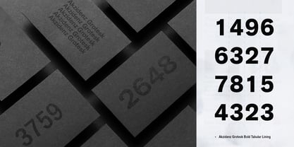 akzidenz-grotesk-next preview 5