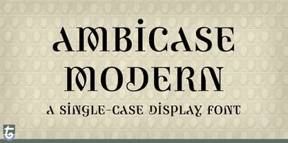 ambicase-modern preview 1