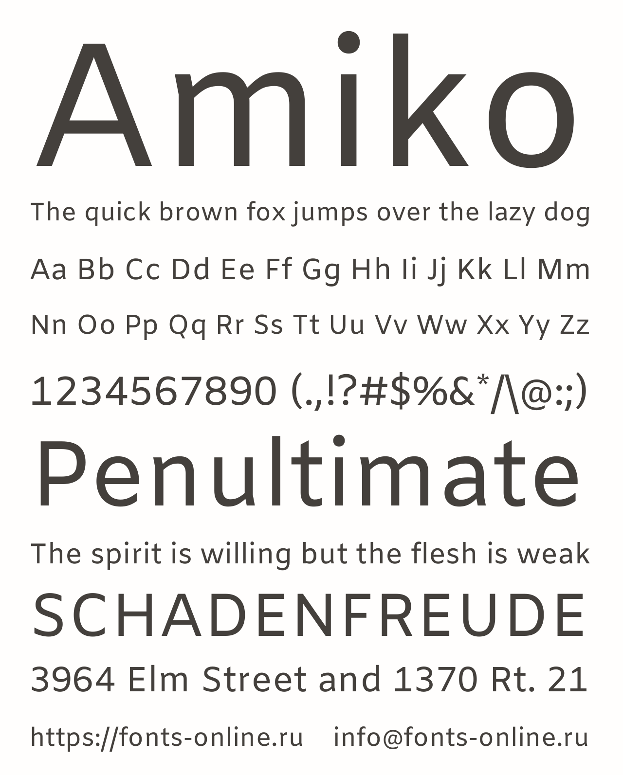 amiko preview 2