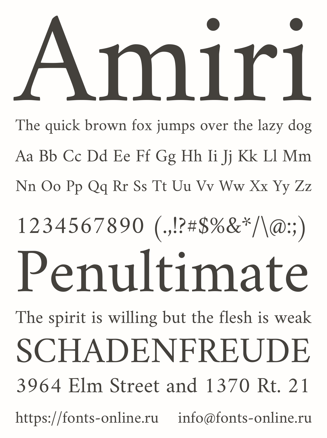 amiri preview 3