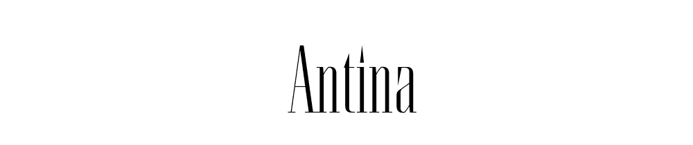 antina preview 4