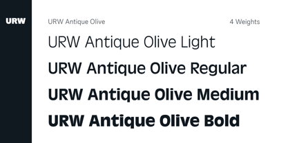antique-olive preview 2