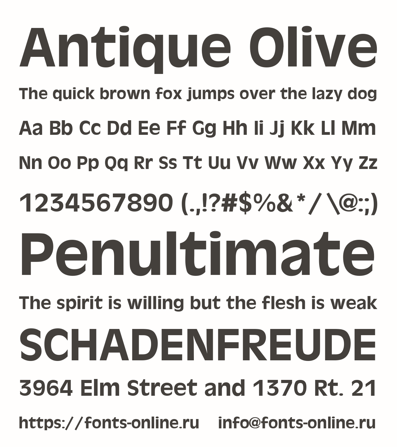 antique-olive preview 1