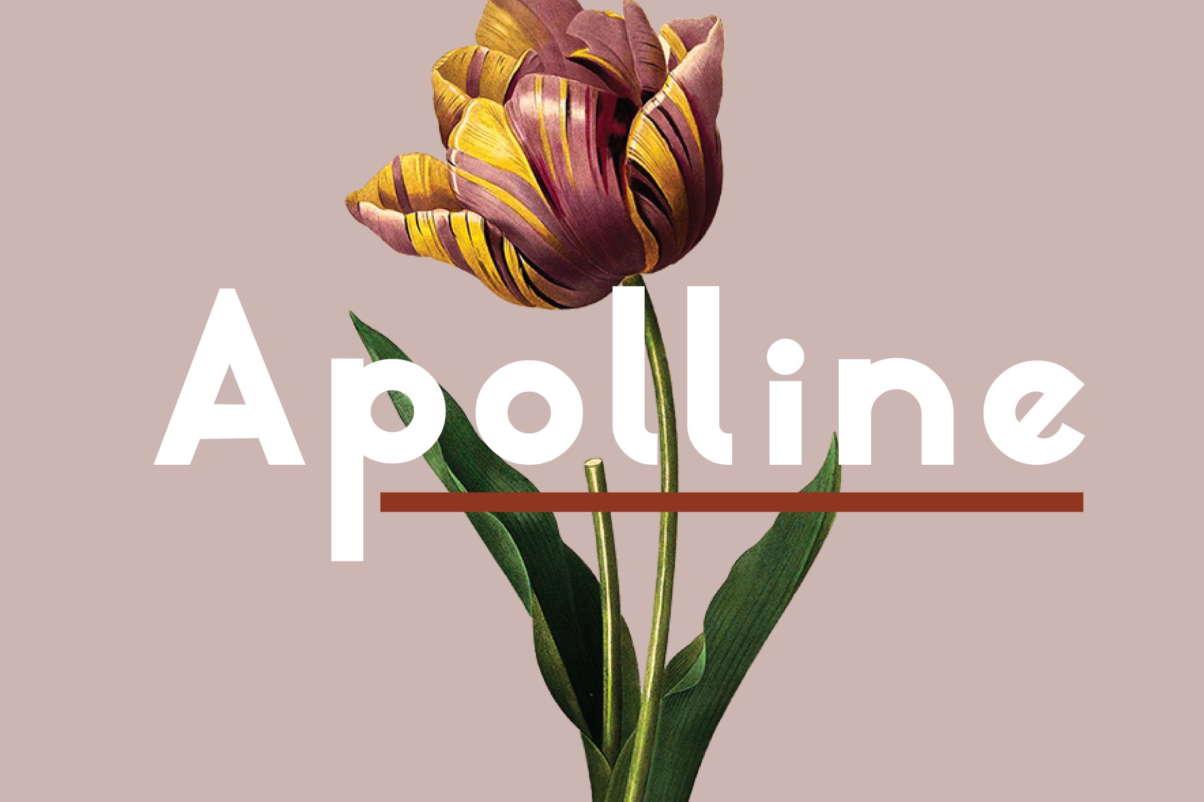 apolline preview 3