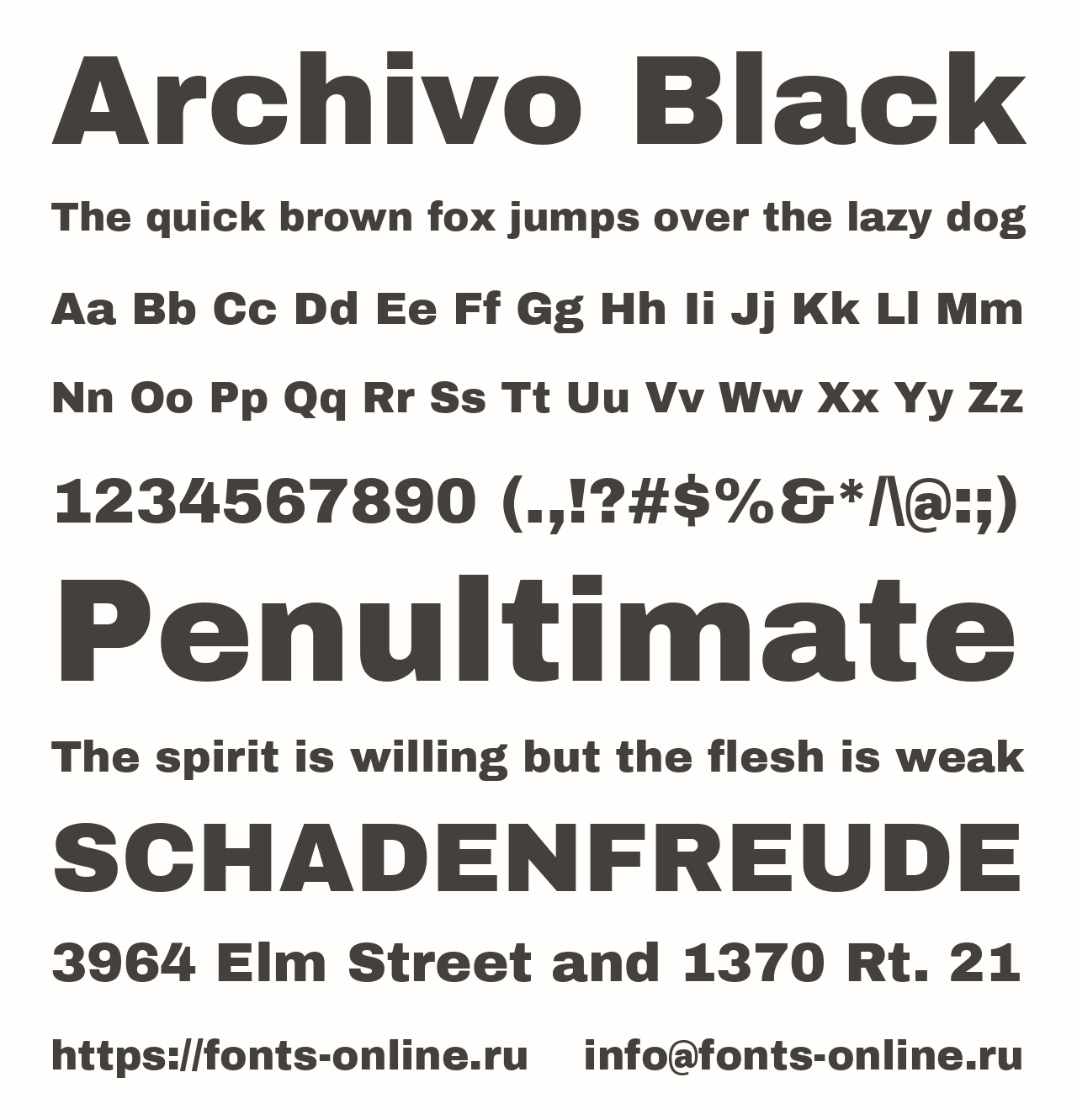 archivo-black preview 5
