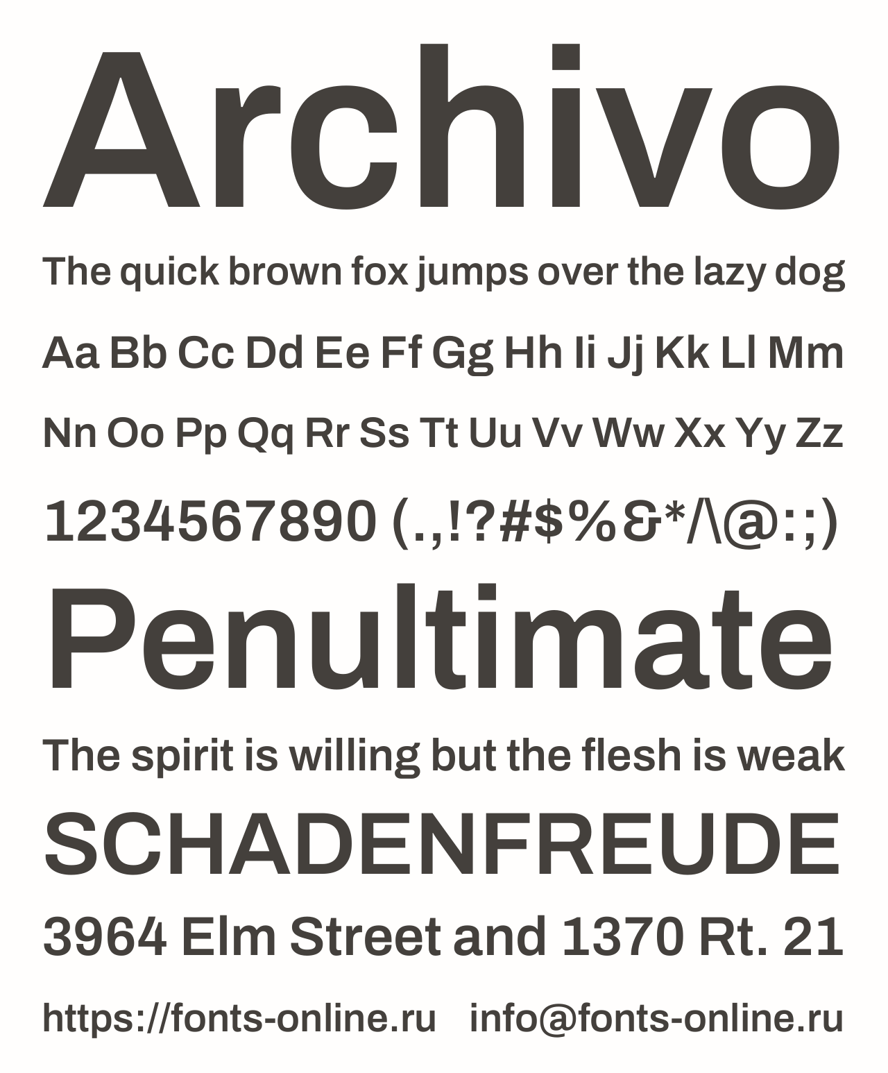 archivo preview 5