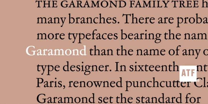 atf-garamond-micro preview 3