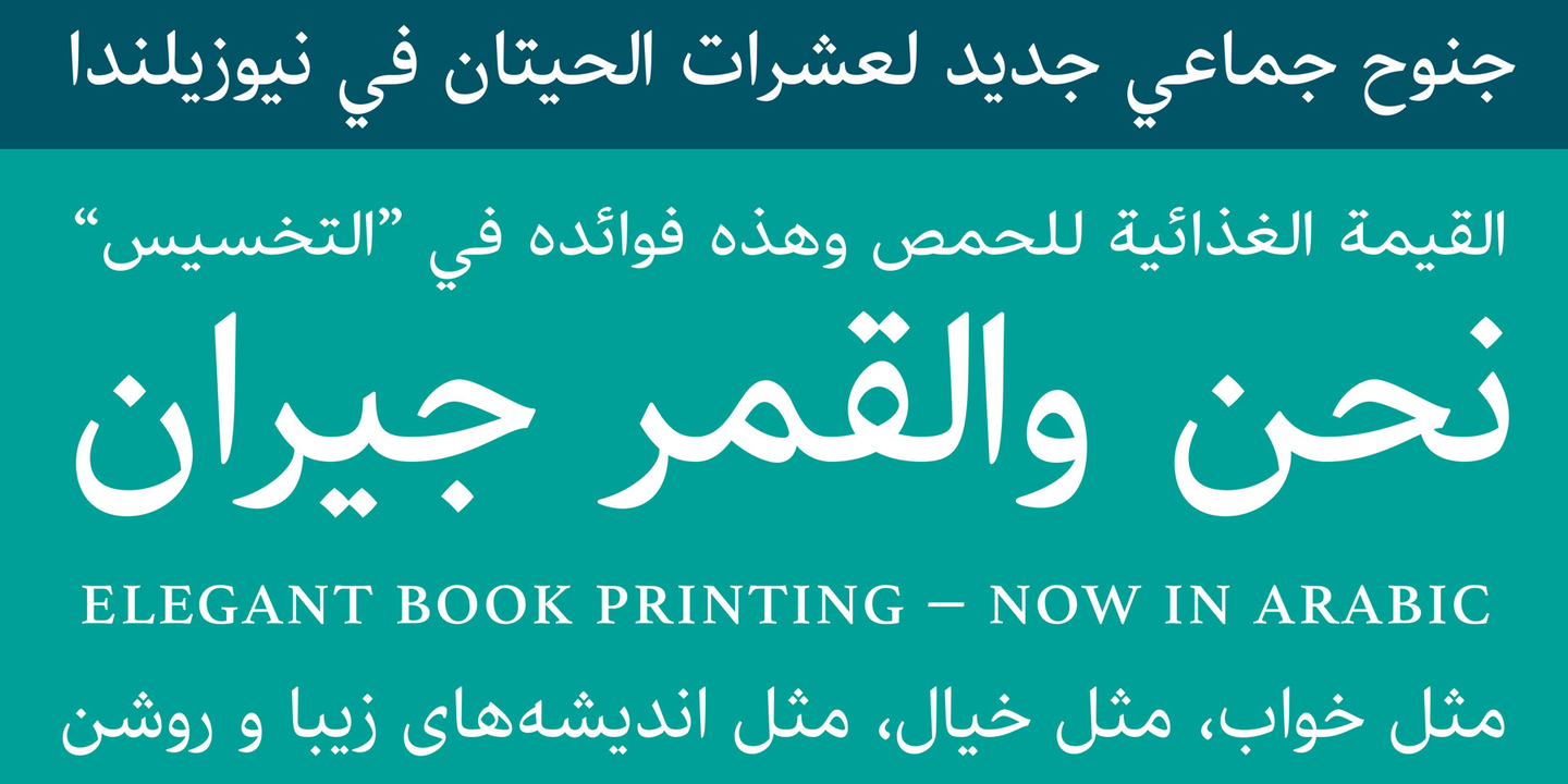 athelas-arabic-variable preview 5