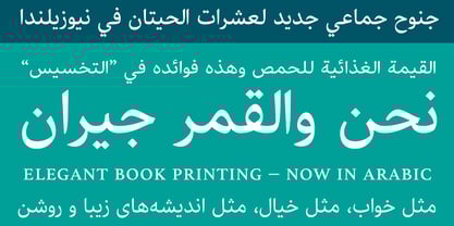 athelas-arabic preview 5