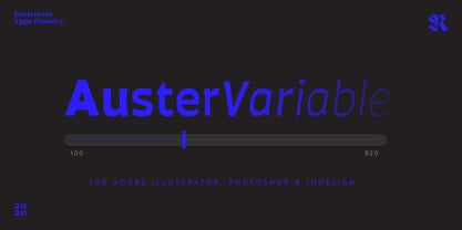 auster-variable preview 4