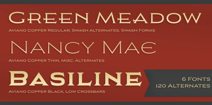 aviano-copper-variable font preview - main display