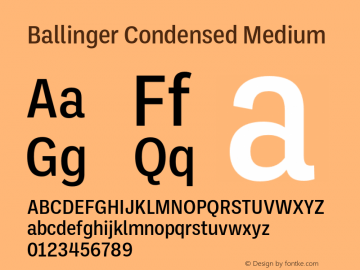 ballinger-condensed preview 4