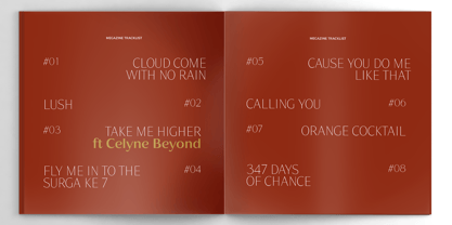 bd-orange-variable preview 4