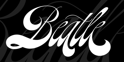 beatle preview 5