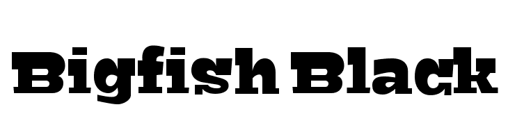 bigfish font preview - main display