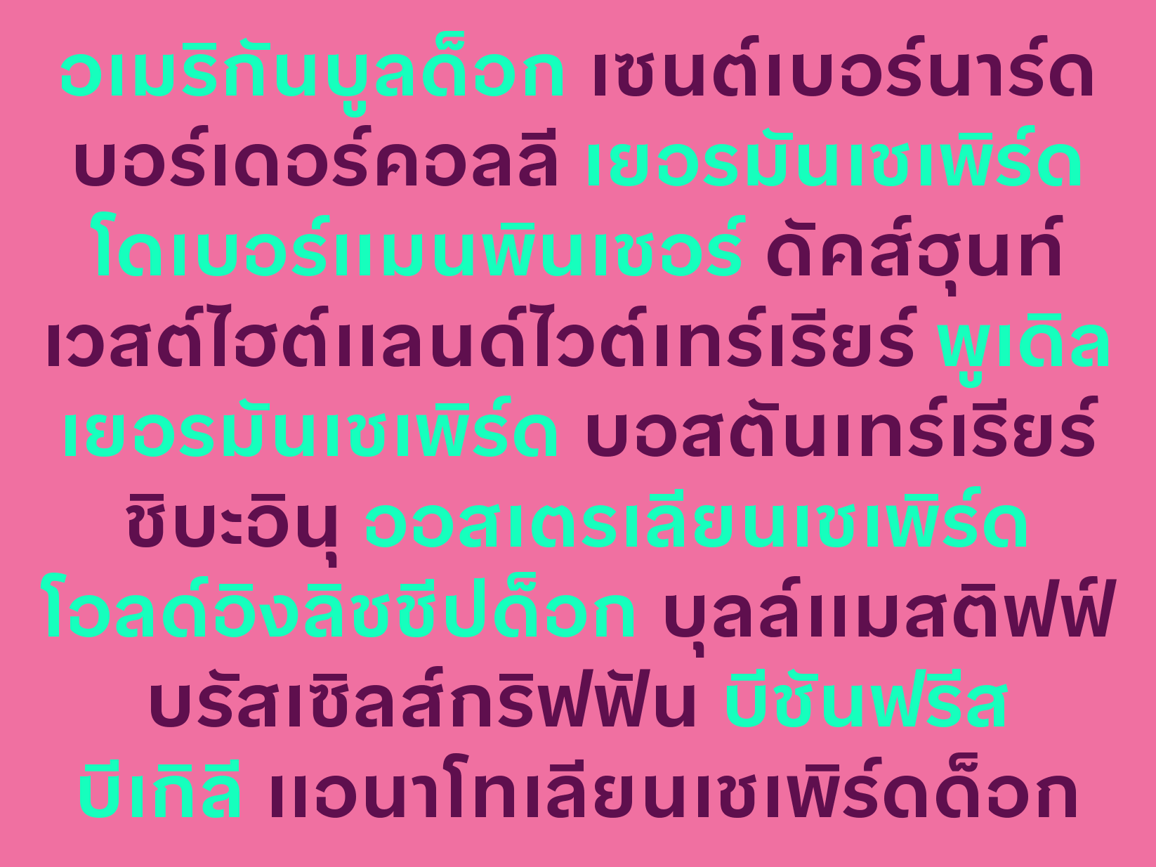 bilo-thai preview 2