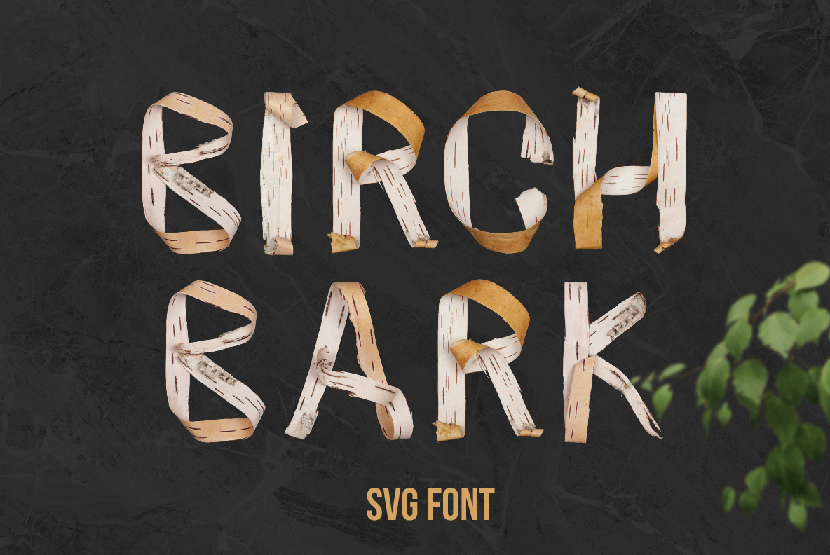 birch preview 4