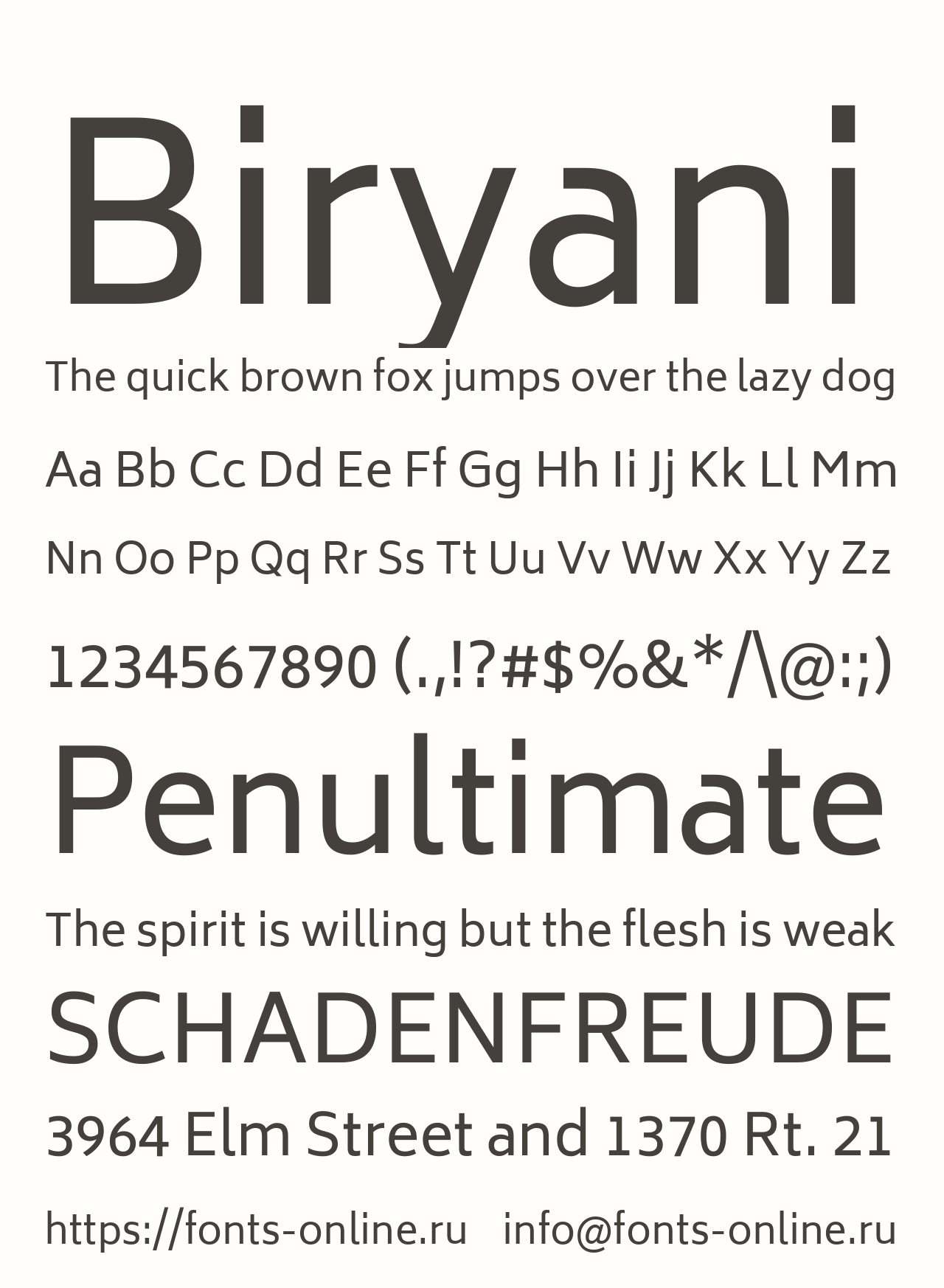 biryani preview 5