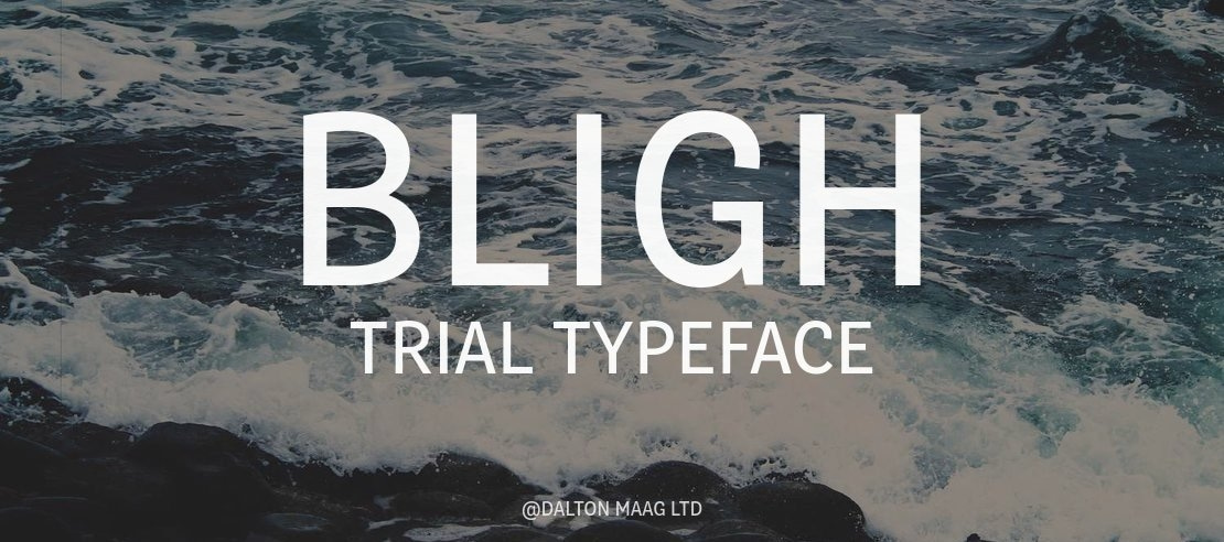 bligh preview 1