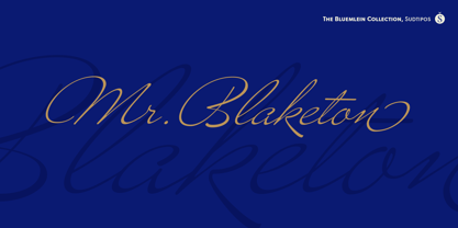 bluemlein-script-collection preview 1