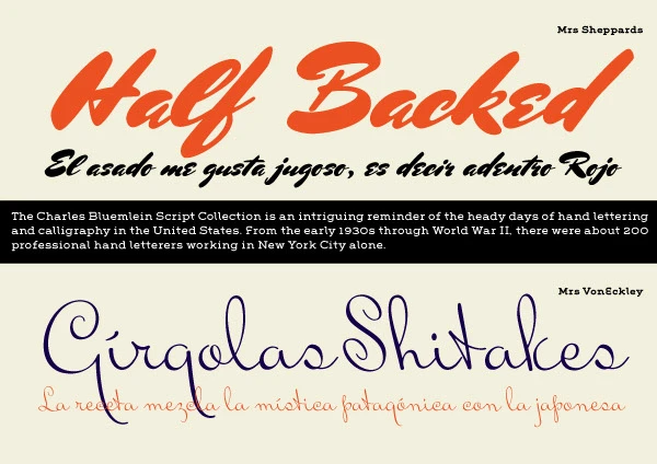 bluemlein-script-collection preview 5
