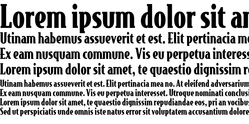 bodega-serif preview 1