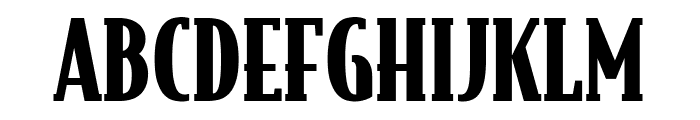 bodega-serif preview 2