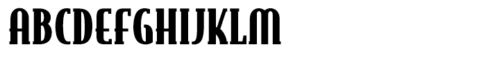 bodega-serif preview 4