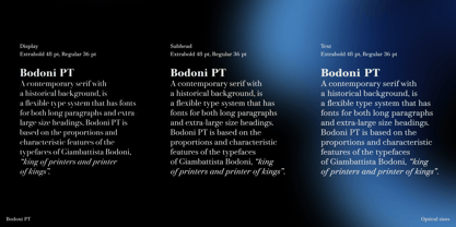 bodoni-pt-variable preview 4