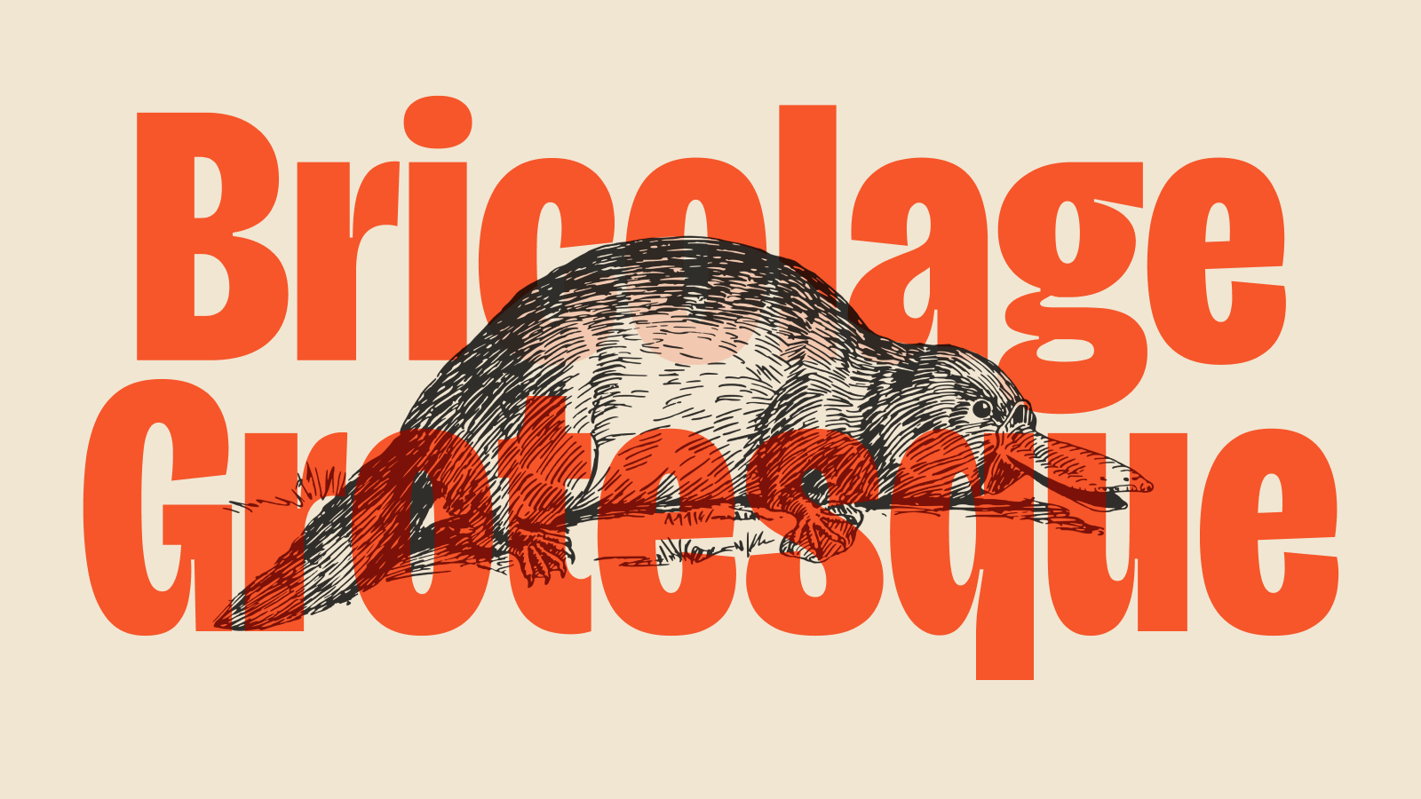 bricolage-grotesque preview 3