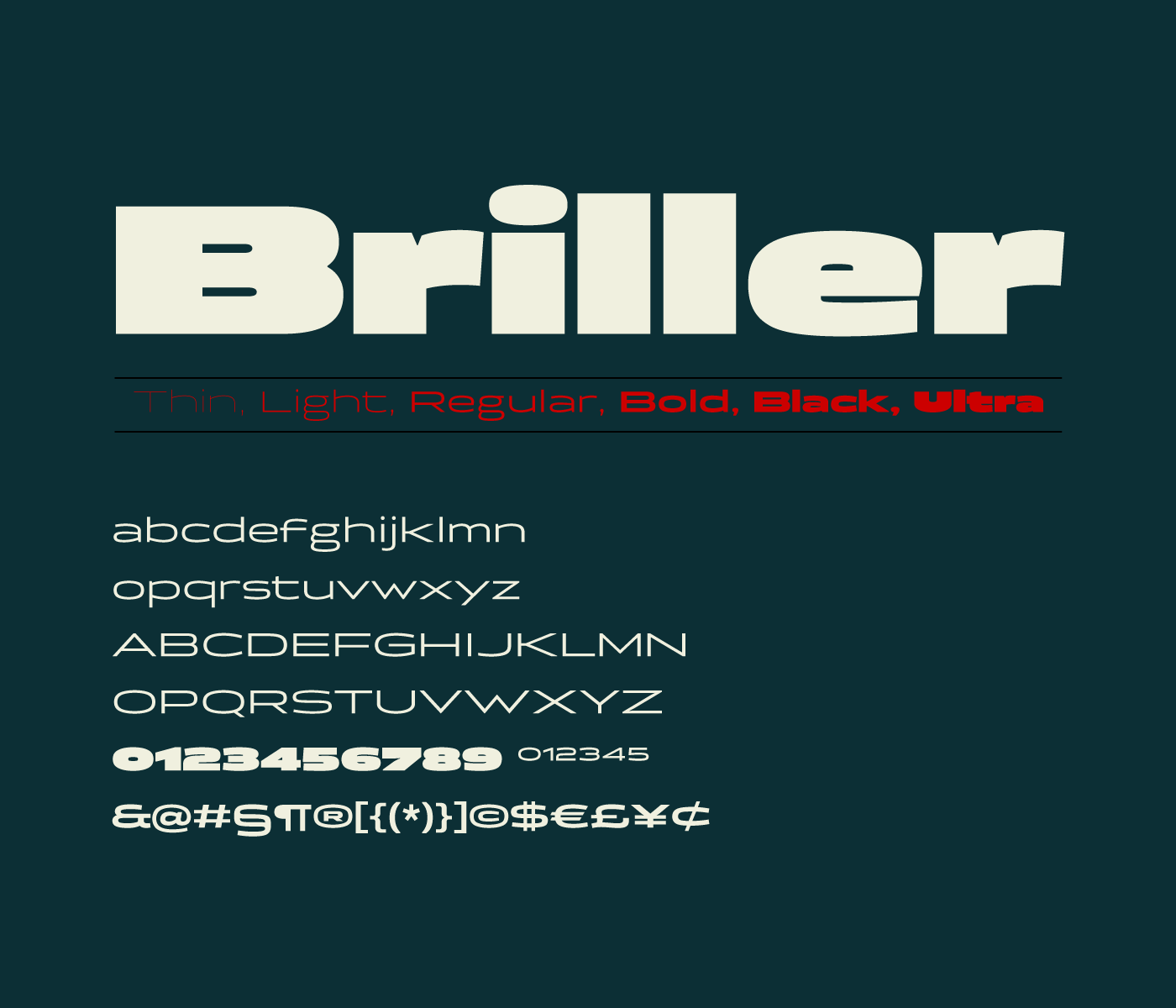 briller preview 5