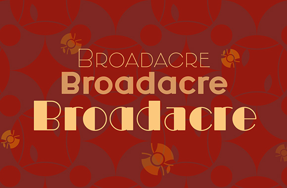 broadacre preview 3