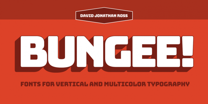 bungee preview 1
