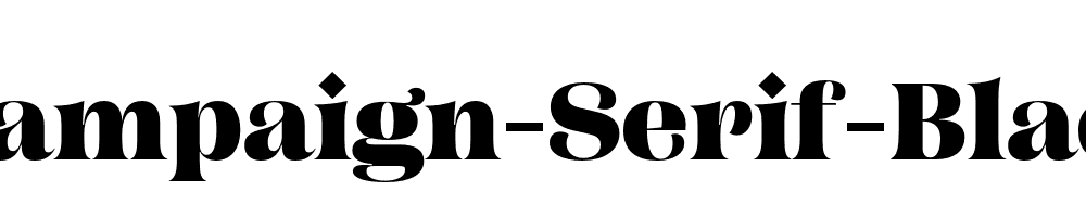 campaign-serif preview 5
