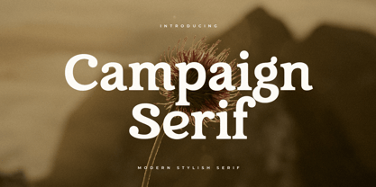 campaign-serif preview 4