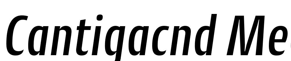cantiga preview 5
