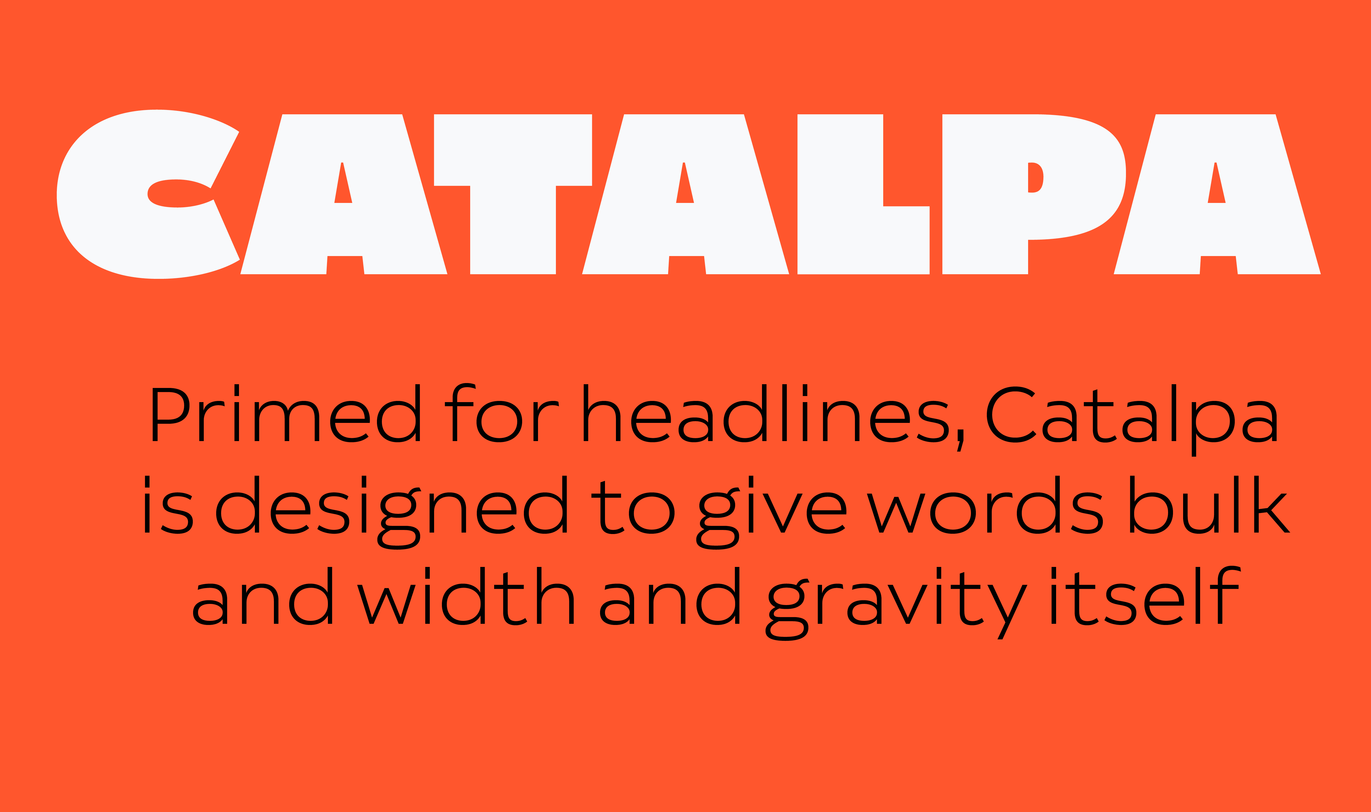 catalpa font preview - main display