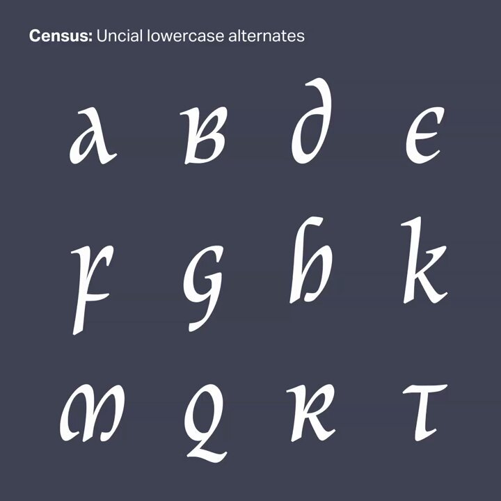 census-variable preview 4