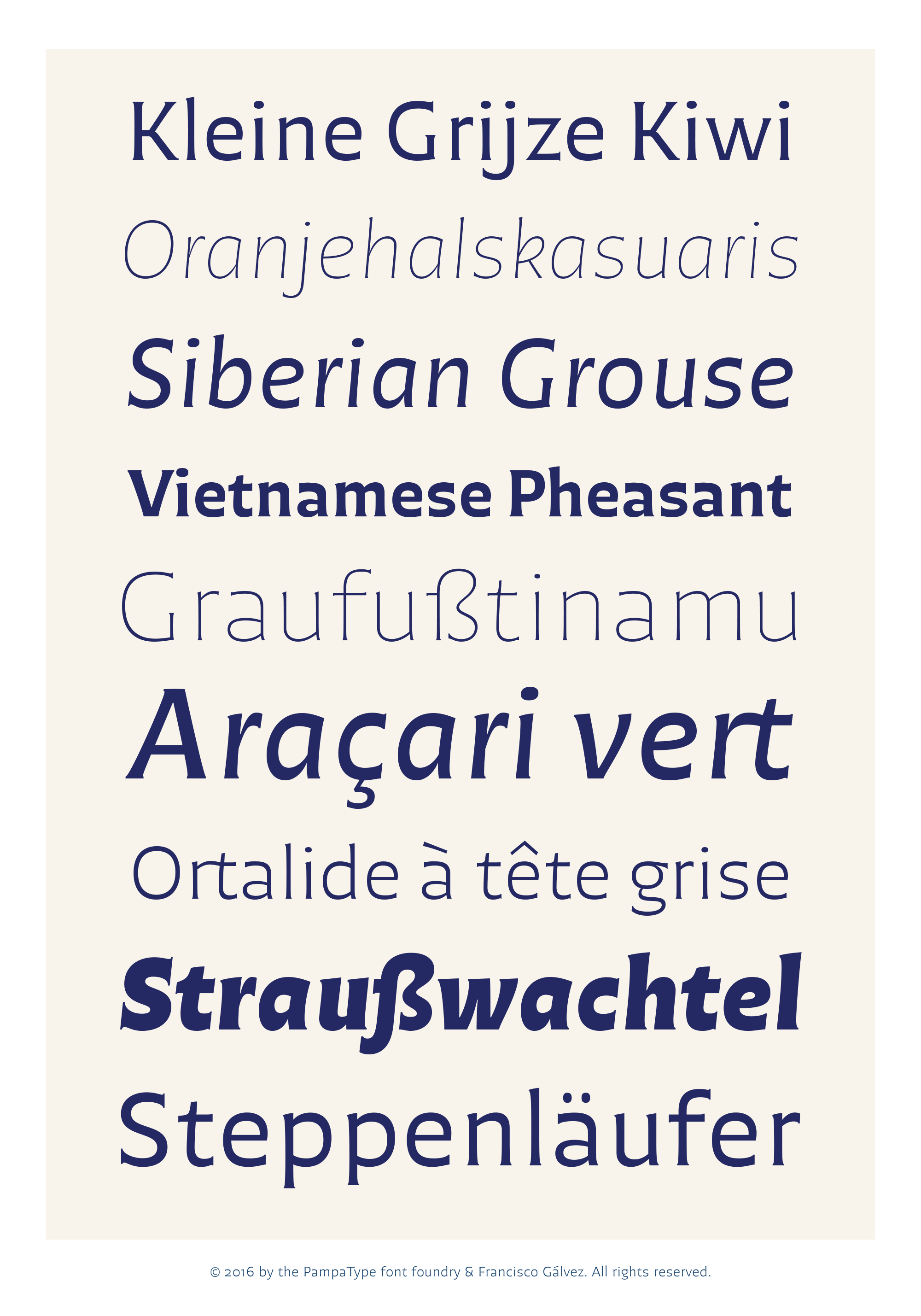 chercan preview 5