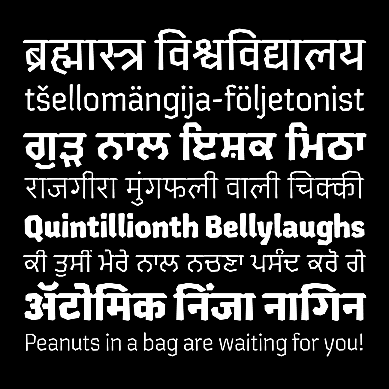 chikki-gurmukhi preview 5