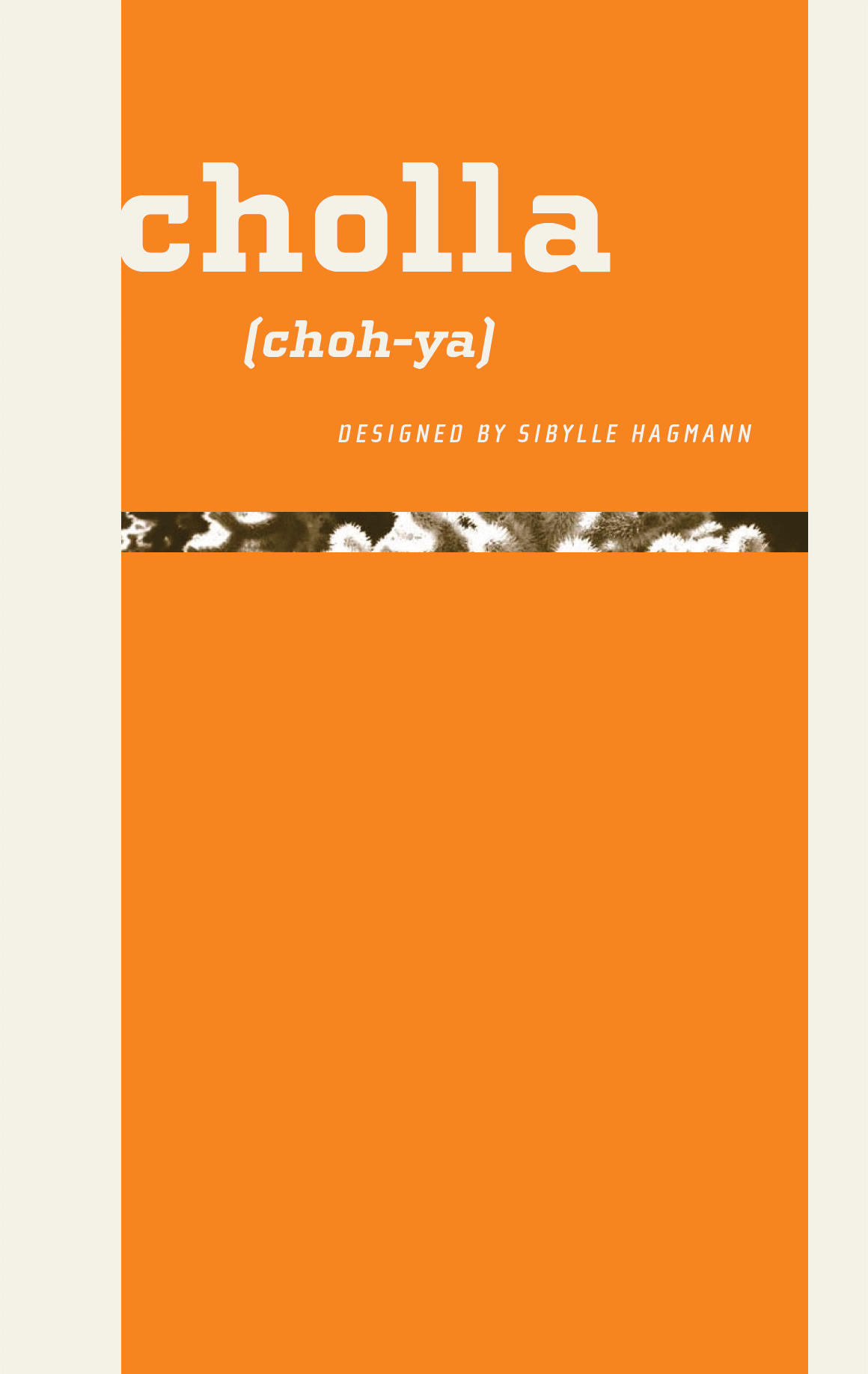 cholla preview 5