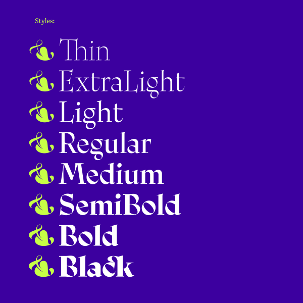 ciclo-display preview 4